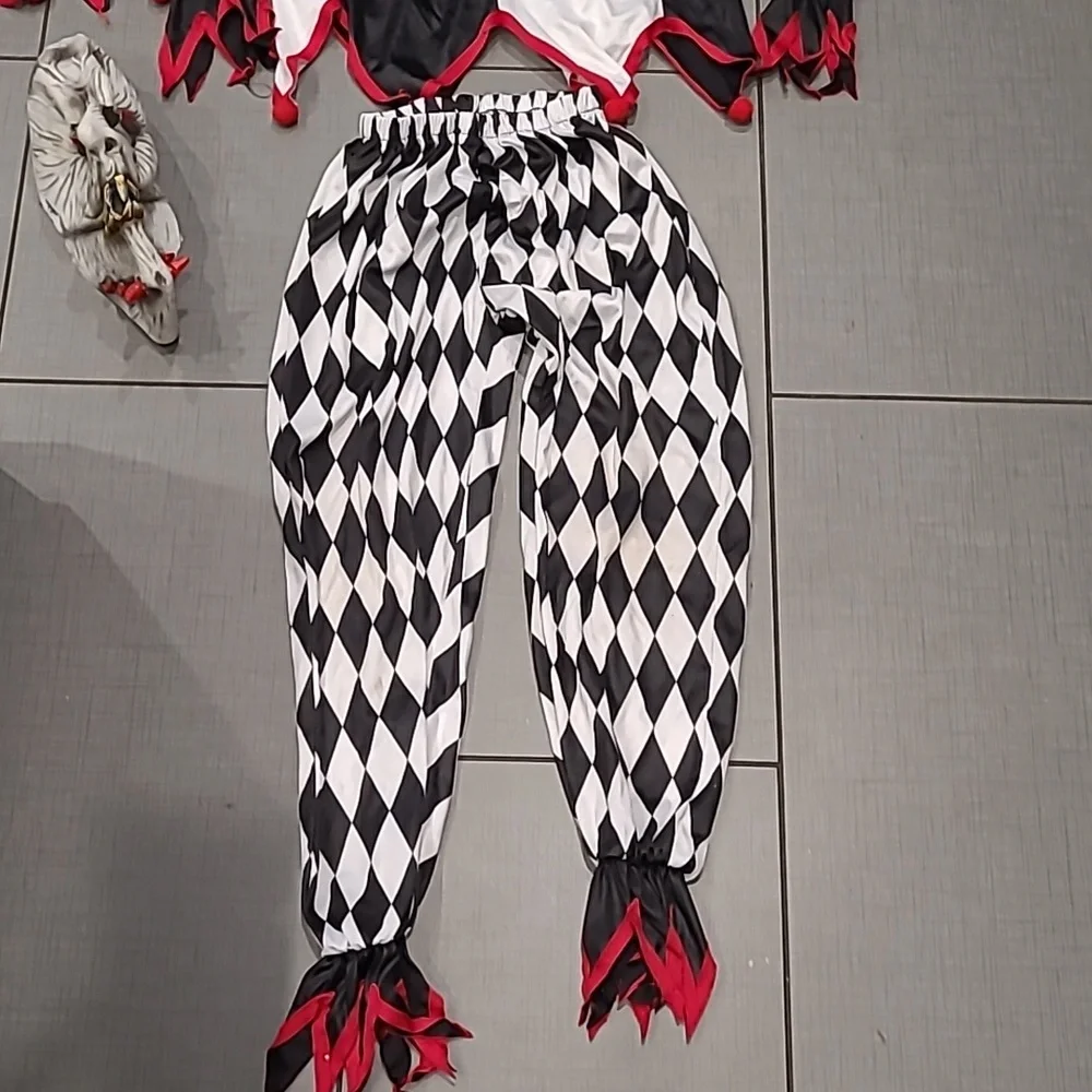 Sinister Jester Costume Medium - Picture 4 of 5
